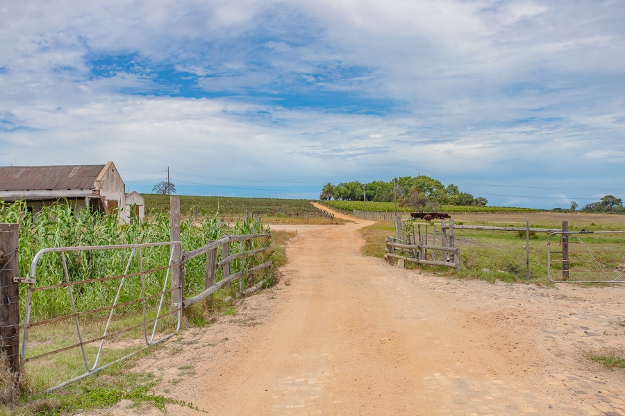 6 Bedroom Property for Sale in Lyndoch Western Cape